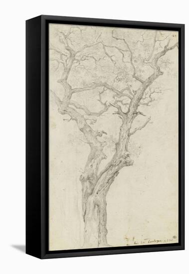 Trunk and Branches of a Tree in the Bois De Boulogne-Pierre Henri de Valenciennes-Framed Stretched Canvas