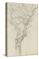 Trunk and Branches of a Tree in the Bois De Boulogne-Pierre Henri de Valenciennes-Stretched Canvas