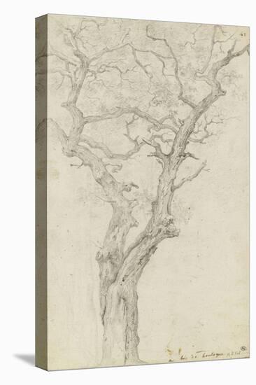 Trunk and Branches of a Tree in the Bois De Boulogne-Pierre Henri de Valenciennes-Stretched Canvas