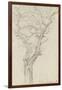 Trunk and Branches of a Tree in the Bois De Boulogne-Pierre Henri de Valenciennes-Framed Giclee Print