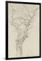 Trunk and Branches of a Tree in the Bois De Boulogne-Pierre Henri de Valenciennes-Framed Giclee Print