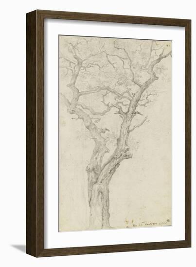 Trunk and Branches of a Tree in the Bois De Boulogne-Pierre Henri de Valenciennes-Framed Giclee Print