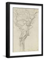 Trunk and Branches of a Tree in the Bois De Boulogne-Pierre Henri de Valenciennes-Framed Giclee Print