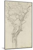 Trunk and Branches of a Tree in the Bois De Boulogne-Pierre Henri de Valenciennes-Mounted Giclee Print