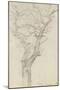 Trunk and Branches of a Tree in the Bois De Boulogne-Pierre Henri de Valenciennes-Mounted Giclee Print
