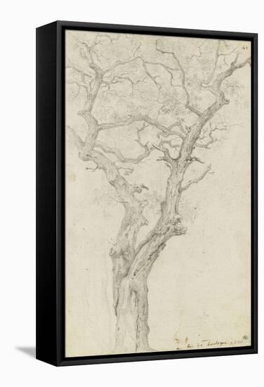 Trunk and Branches of a Tree in the Bois De Boulogne-Pierre Henri de Valenciennes-Framed Stretched Canvas