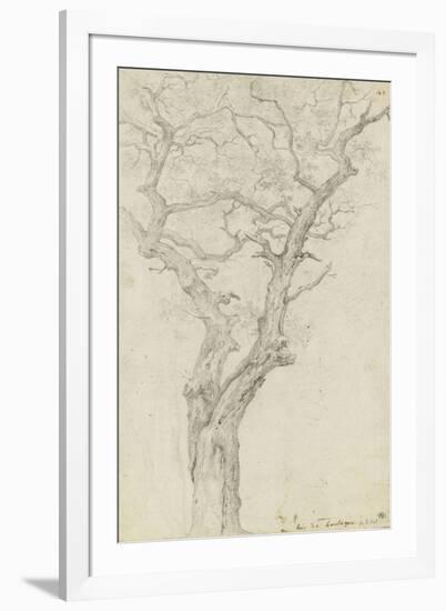 Trunk and Branches of a Tree in the Bois De Boulogne-Pierre Henri de Valenciennes-Framed Giclee Print