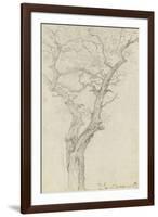 Trunk and Branches of a Tree in the Bois De Boulogne-Pierre Henri de Valenciennes-Framed Giclee Print