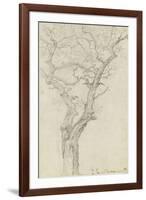 Trunk and Branches of a Tree in the Bois De Boulogne-Pierre Henri de Valenciennes-Framed Giclee Print