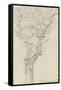 Trunk and Branches of a Tree in the Bois De Boulogne-Pierre Henri de Valenciennes-Framed Stretched Canvas