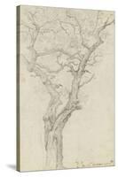 Trunk and Branches of a Tree in the Bois De Boulogne-Pierre Henri de Valenciennes-Stretched Canvas