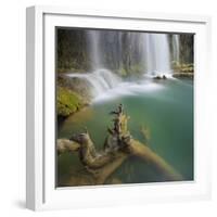 Trunk and Kursunlu Waterfall, Antalya, Turkey-Rainer Mirau-Framed Photographic Print