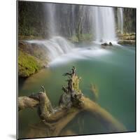 Trunk and Kursunlu Waterfall, Antalya, Turkey-Rainer Mirau-Mounted Photographic Print