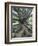 Trunk and Roots of a Tree in Domain Park, Auckland, North Island, New Zealand, Pacific-Jeremy Bright-Framed Photographic Print