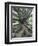 Trunk and Roots of a Tree in Domain Park, Auckland, North Island, New Zealand, Pacific-Jeremy Bright-Framed Photographic Print