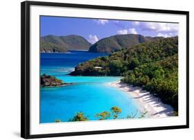 Trunk Bay Beach, St John, US Virgin Islands-George Oze-Framed Photographic Print