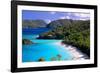 Trunk Bay Beach, St John, US Virgin Islands-George Oze-Framed Photographic Print