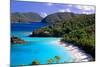 Trunk Bay Beach, St John, US Virgin Islands-George Oze-Mounted Photographic Print