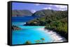 Trunk Bay Beach, St John, US Virgin Islands-George Oze-Framed Stretched Canvas