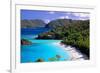 Trunk Bay Beach, St John, US Virgin Islands-George Oze-Framed Photographic Print