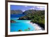 Trunk Bay Beach, St John, US Virgin Islands-George Oze-Framed Photographic Print