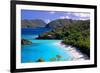 Trunk Bay Beach, St John, US Virgin Islands-George Oze-Framed Photographic Print