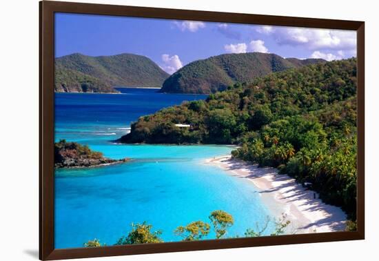 Trunk Bay Beach, St John, US Virgin Islands-George Oze-Framed Photographic Print