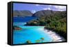 Trunk Bay Beach, St John, US Virgin Islands-George Oze-Framed Stretched Canvas
