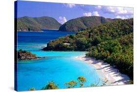 Trunk Bay Beach, St John, US Virgin Islands-George Oze-Stretched Canvas