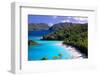 Trunk Bay Beach, St John, US Virgin Islands-George Oze-Framed Photographic Print