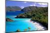 Trunk Bay Beach, St John, US Virgin Islands-George Oze-Mounted Photographic Print