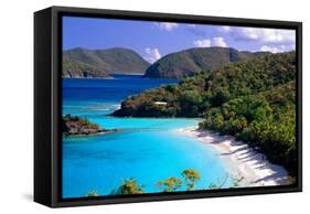 Trunk Bay Beach, St John, US Virgin Islands-George Oze-Framed Stretched Canvas