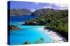 Trunk Bay Beach, St John, US Virgin Islands-George Oze-Stretched Canvas