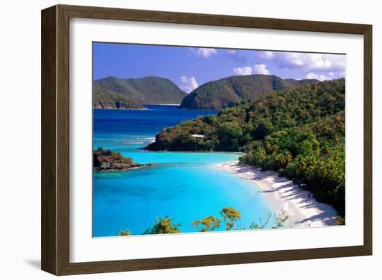 Trunk Bay Beach, St John, US Virgin Islands-George Oze-Framed Photographic Print