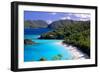 Trunk Bay Beach, St John, US Virgin Islands-George Oze-Framed Photographic Print