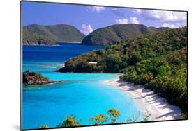 Trunk Bay Beach, St John, US Virgin Islands-George Oze-Mounted Photographic Print