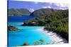 Trunk Bay Beach, St John, US Virgin Islands-George Oze-Stretched Canvas