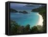 Trunk Bay Beach, St Johns, US Virgin Islands-Bill Bachmann-Framed Stretched Canvas