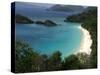 Trunk Bay Beach, St Johns, US Virgin Islands-Bill Bachmann-Stretched Canvas