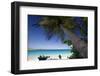 Trunk Bay Palm Tree, St John, US Virgin Islands-George Oze-Framed Photographic Print