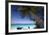 Trunk Bay Palm Tree, St John, US Virgin Islands-George Oze-Framed Photographic Print