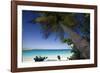 Trunk Bay Palm Tree, St John, US Virgin Islands-George Oze-Framed Photographic Print