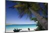 Trunk Bay Palm Tree, St John, US Virgin Islands-George Oze-Mounted Photographic Print