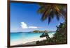 Trunk Bay Palm Tree St John USVI-George Oze-Framed Photographic Print