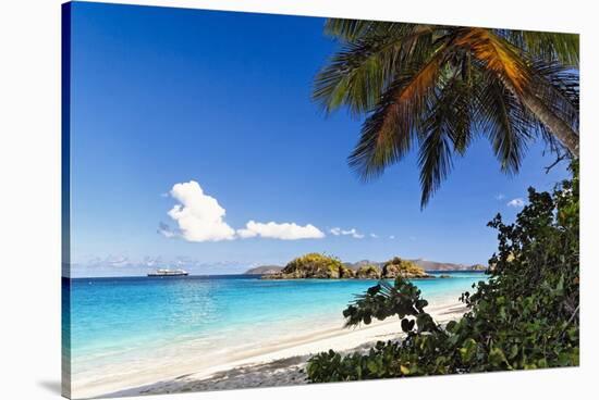 Trunk Bay Palm Tree St John USVI-George Oze-Stretched Canvas