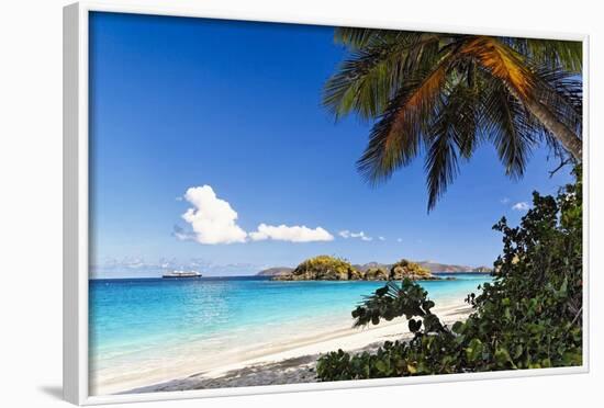 Trunk Bay Palm Tree St John USVI-George Oze-Framed Photographic Print