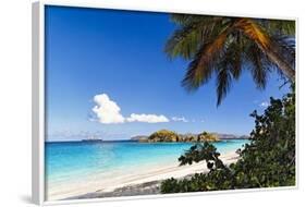 Trunk Bay Palm Tree St John USVI-George Oze-Framed Photographic Print