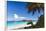 Trunk Bay Palm Tree St John USVI-George Oze-Framed Photographic Print