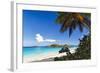 Trunk Bay Palm Tree St John USVI-George Oze-Framed Photographic Print