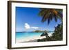 Trunk Bay Palm Tree St John USVI-George Oze-Framed Photographic Print